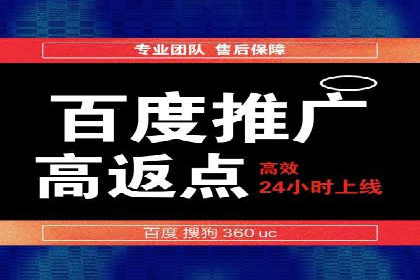 案例分析：百度竞价托管助力行业龙头